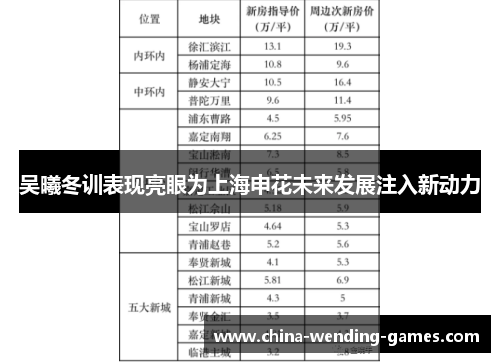 吴曦冬训表现亮眼为上海申花未来发展注入新动力