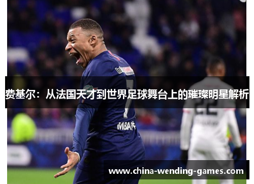 费基尔：从法国天才到世界足球舞台上的璀璨明星解析
